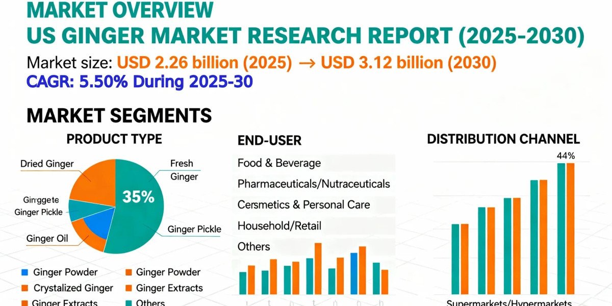 US Ginger Market Outlook 2030: Leading Companies & Share Insights